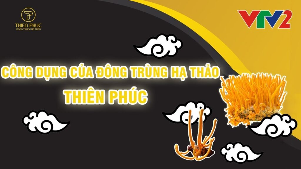 trò chơi trực tuyến Việt Nam đổi thưởng